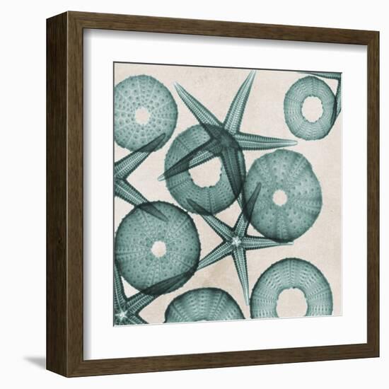 Under the Sea 3-Albert Koetsier-Framed Art Print