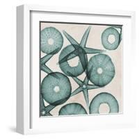 Under the Sea 3-Albert Koetsier-Framed Art Print