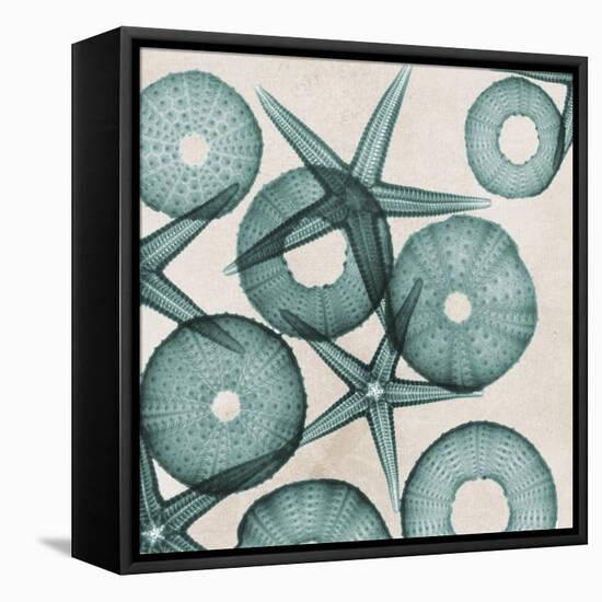 Under the Sea 3-Albert Koetsier-Framed Stretched Canvas