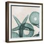 Under the Sea 5-Albert Koetsier-Framed Premium Giclee Print