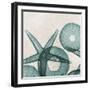 Under the Sea 5-Albert Koetsier-Framed Premium Giclee Print