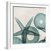 Under the Sea 5-Albert Koetsier-Framed Premium Giclee Print