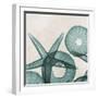 Under the Sea 5-Albert Koetsier-Framed Premium Giclee Print