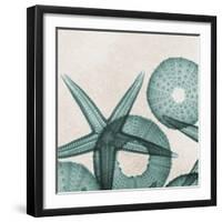 Under the Sea 5-Albert Koetsier-Framed Art Print