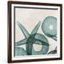 Under the Sea 5-Albert Koetsier-Framed Art Print