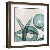 Under the Sea 5-Albert Koetsier-Framed Art Print