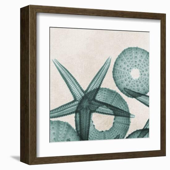 Under the Sea 5-Albert Koetsier-Framed Art Print