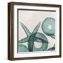 Under the Sea 5-Albert Koetsier-Framed Art Print