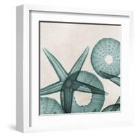 Under the Sea 5-Albert Koetsier-Framed Art Print