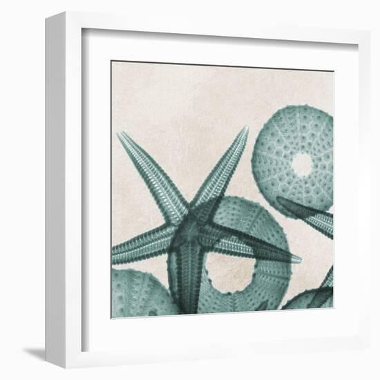 Under the Sea 5-Albert Koetsier-Framed Art Print