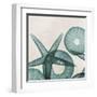 Under the Sea 5-Albert Koetsier-Framed Art Print