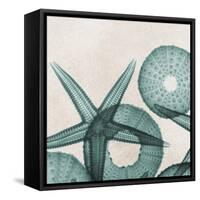 Under the Sea 5-Albert Koetsier-Framed Stretched Canvas