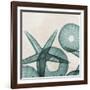 Under the Sea 5-Albert Koetsier-Framed Art Print