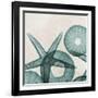 Under the Sea 5-Albert Koetsier-Framed Art Print