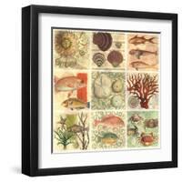 Under The Sea I-null-Framed Art Print