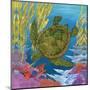 Under the Sea II-Paul Brent-Mounted Art Print