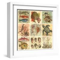 Under The Sea II-null-Framed Art Print