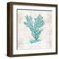 Under the Sea II-Sabine Berg-Framed Art Print