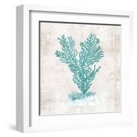 Under the Sea II-Sabine Berg-Framed Art Print