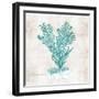 Under the Sea II-Sabine Berg-Framed Art Print