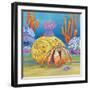 Under the Sea III-Paul Brent-Framed Art Print