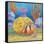 Under the Sea III-Paul Brent-Framed Stretched Canvas