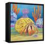 Under the Sea III-Paul Brent-Framed Stretched Canvas