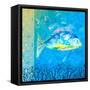 Under the Sea III-Julie DeRice-Framed Stretched Canvas