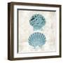 Under the Sea IV-Sabine Berg-Framed Art Print