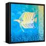Under the Sea IV-Julie DeRice-Framed Stretched Canvas