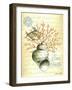 Under The Sea IV-Sydney Wright-Framed Art Print