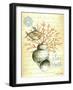 Under The Sea IV-Sydney Wright-Framed Art Print