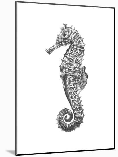 Under The Sea - Seahorse-Lucy Francis-Mounted Art Print