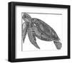 Under The Sea - Turtle-Lucy Francis-Framed Giclee Print