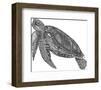 Under The Sea - Turtle-Lucy Francis-Framed Giclee Print