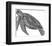 Under The Sea - Turtle-Lucy Francis-Framed Art Print