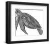 Under The Sea - Turtle-Lucy Francis-Framed Art Print