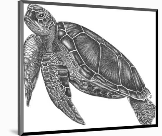 Under The Sea - Turtle-Lucy Francis-Mounted Art Print