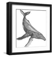 Under The Sea - Whale-Lucy Francis-Framed Art Print