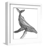Under The Sea - Whale-Lucy Francis-Framed Art Print