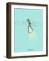 Under the Sea-Jason Ratliff-Framed Premium Giclee Print