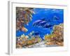 Under the Sea-Julie DeRice-Framed Art Print