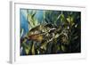 Under the Sea-Sydney Edmunds-Framed Giclee Print