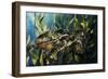 Under the Sea-Sydney Edmunds-Framed Giclee Print