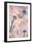 Under the skirts of flowers-Francois Casanova-Framed Photographic Print