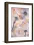 Under the skirts of flowers-Francois Casanova-Framed Photographic Print