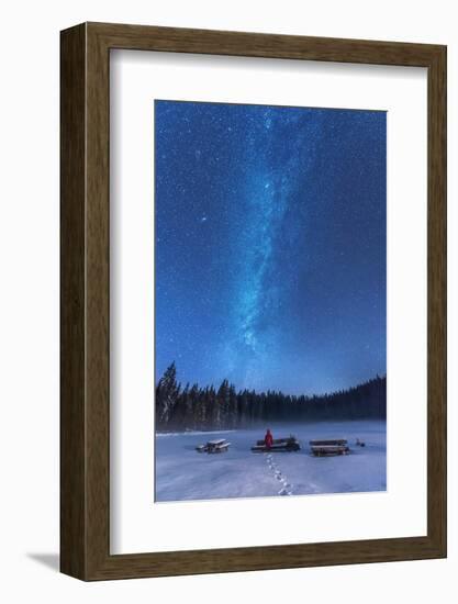 Under the Starry Night-Ales Krivec-Framed Photographic Print