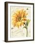 Under the Sun II-Lisa Audit-Framed Art Print