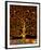 Under the Tree of Life-Gustav Klimt-Framed Premium Giclee Print