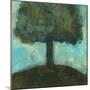 Under the Tree Square II-Cheryl Warrick-Mounted Photographic Print